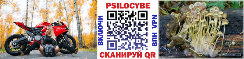 Псилоцибиновые грибы прущие грибы  Купить где  Певек 