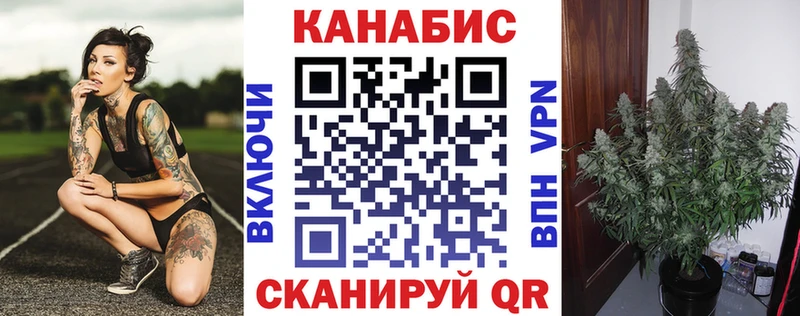 Купить закладки  Певек  Каннабис гибрид 